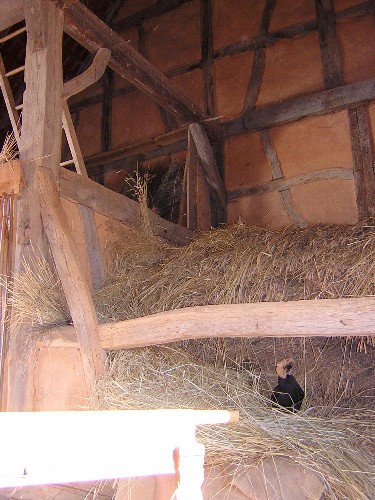 Barn Hay Store