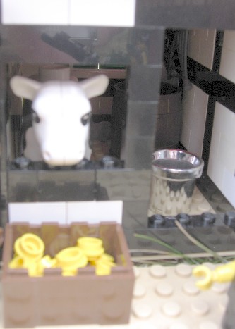 Edelweiss the Cow